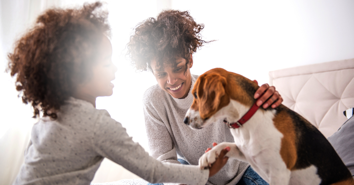 Unlocking the “Pawsibilities” of eCommerce Success in the Pet Care Industry